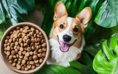 Pourquoi choisir des croquettes bio pour son chien ?